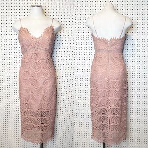 Bardot | Percy Lace Cocktail‎ Dress in Dusty Pink Sz. 4